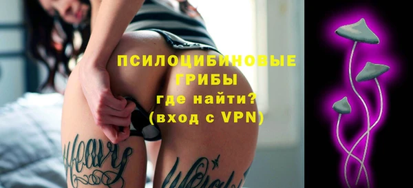 бошки Абинск