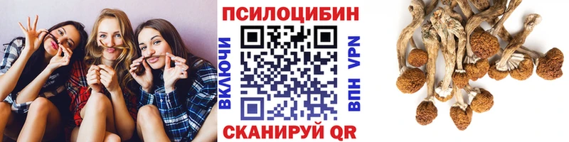Псилоцибиновые грибы прущие грибы  Нариманов 
